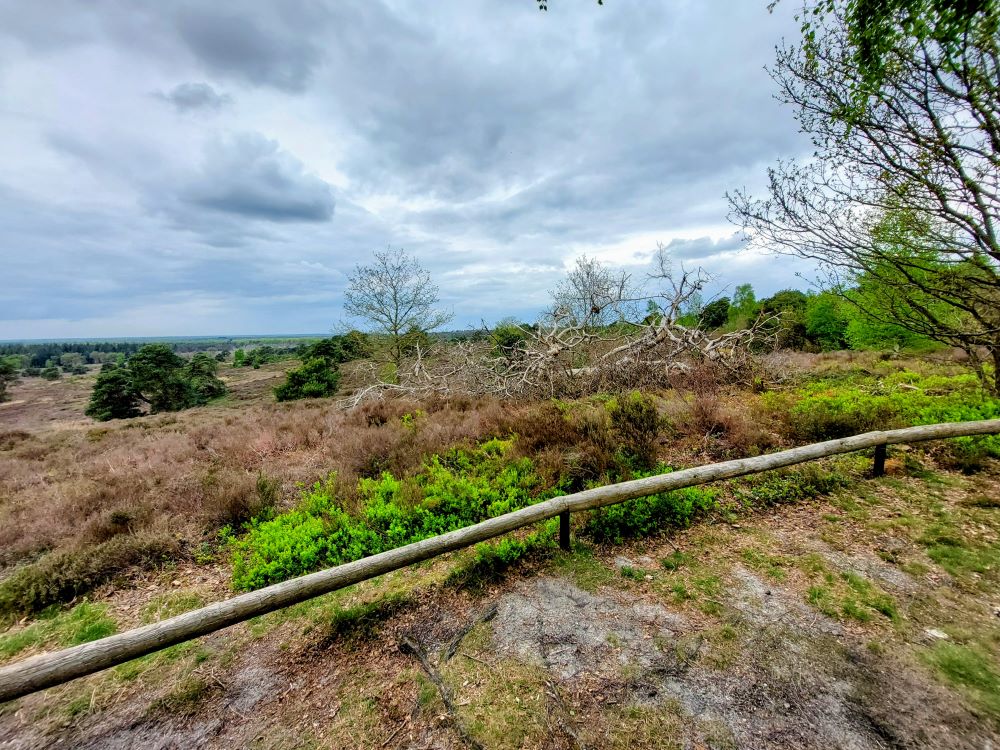 Holterberg