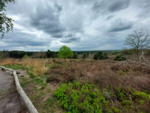Lees meer over het artikel Fotografie in Salland